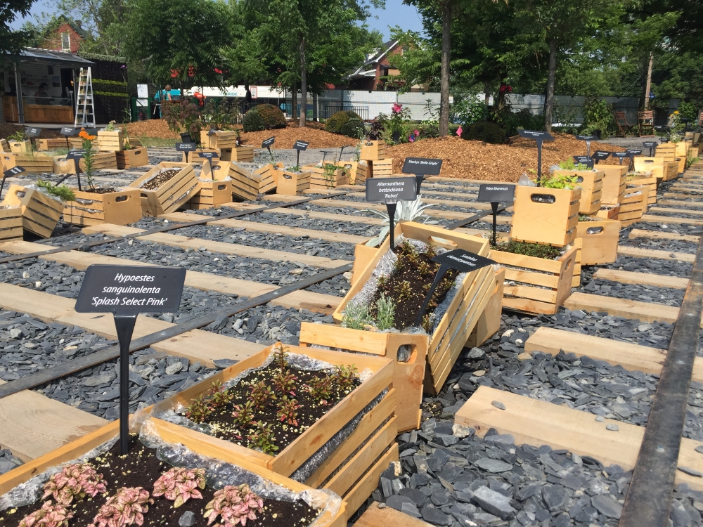 209 espèces de plantes utilisées pour créer les tableaux sont présentées dans des bacs. Photo: Claude Deschênes