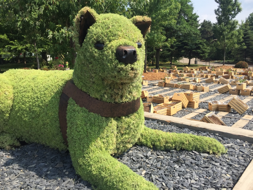 Hachiko, chien fidèle, inspirée d’une histoire vraie japonaise. Photo: Claude Deschênes