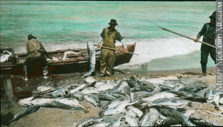 Photo: Don de M. Stanley G. Triggs. © Musée McCord