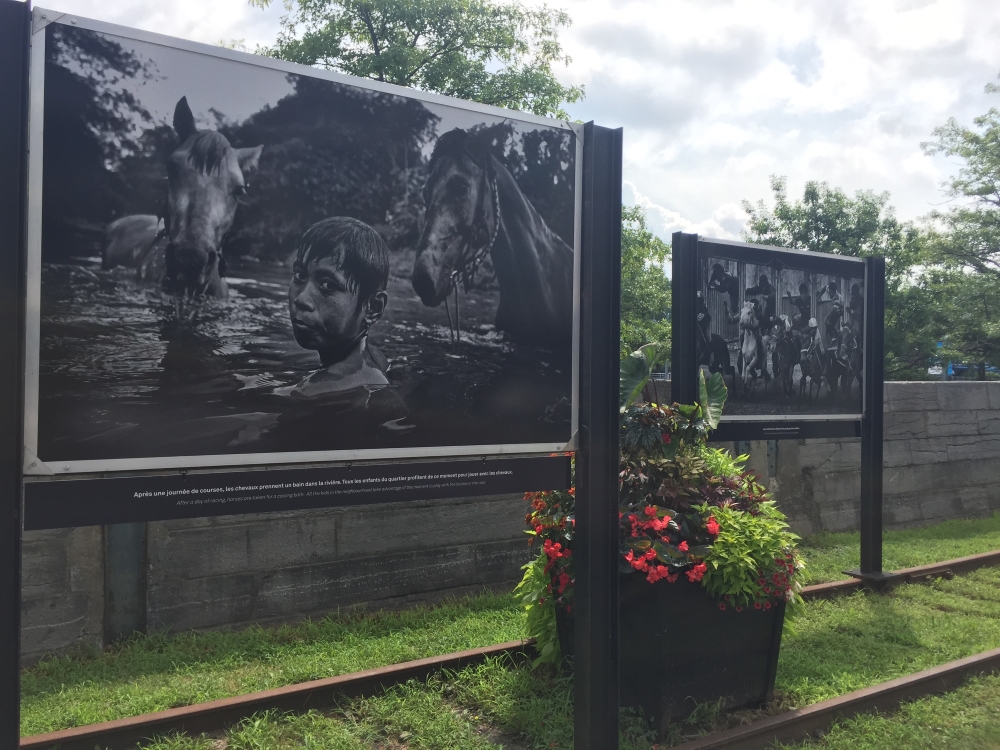 Une exposition de photos en noir et blanc sur la rue de la Commune (entre King et Queen) est offerte comme un avant-goût du World Press Photo Montréal. Photo: Claude Deschênes