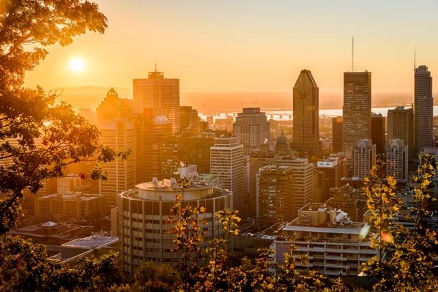 Un magnifique point de vue qu'offre le belvédère. Photo: Facebook J'aime le mont Royal | Les amis de la montagne