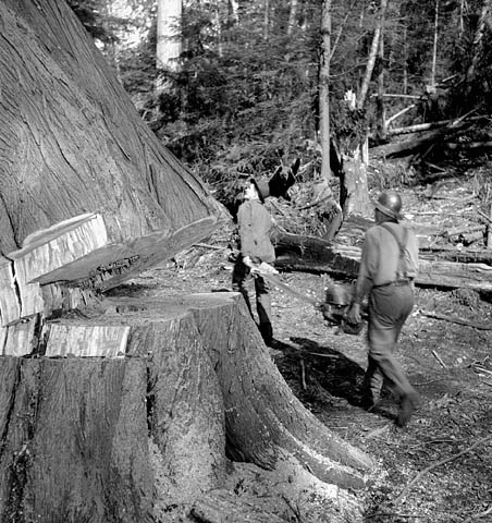 Photo: Bibliothèque et Archives Canada