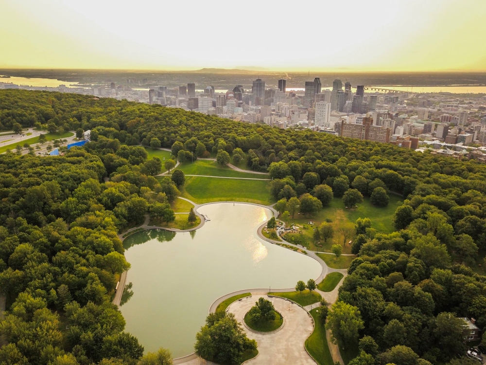 Photo: Facebook J'aime le mont Royal | Les amis de la montagne