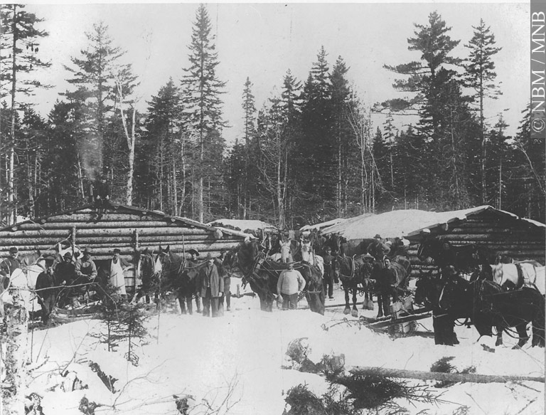 Photo: Don de George I. Higgins Estate. © Musée du Nouveau-Brunswick