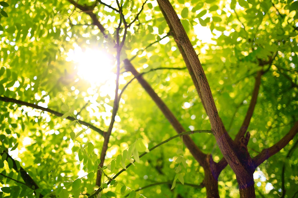 Photo: D. Jameson RAGE, Unsplash
