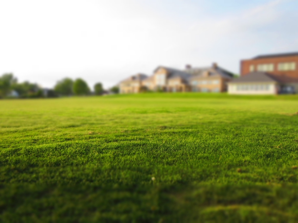 Trois partis politiques se sont montrés favorables à adopter une politique nationale d’aménagement du territoire. Photo: Pixabay