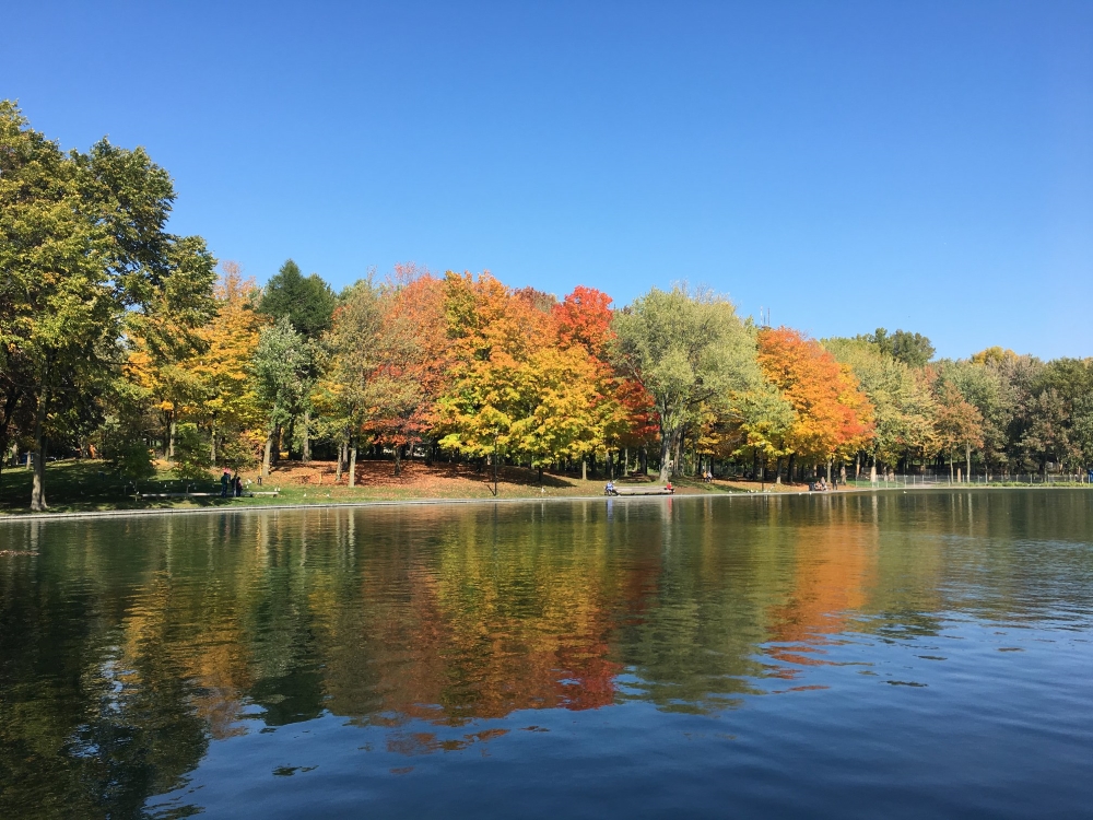 Photo: Facebook J'aime le mont Royal | Les amis de la montagne