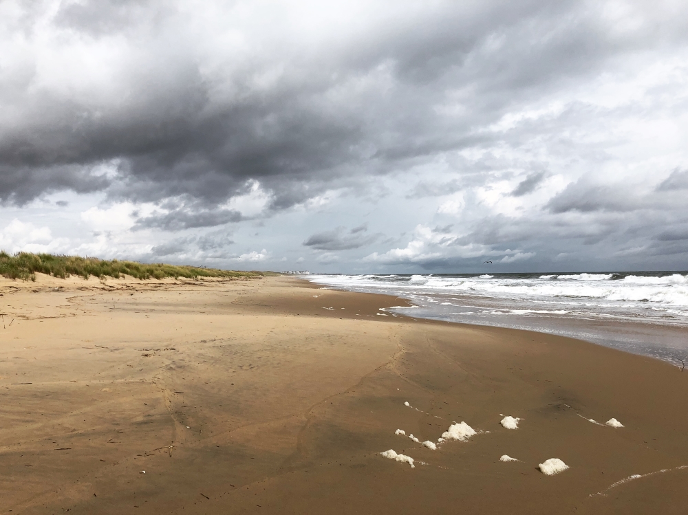 Black Bay National Wildlife Refuge (Sandbridge au loin). Photo: Marie-Julie Gagnon