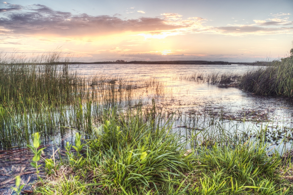 Photo: Virginia State Parks