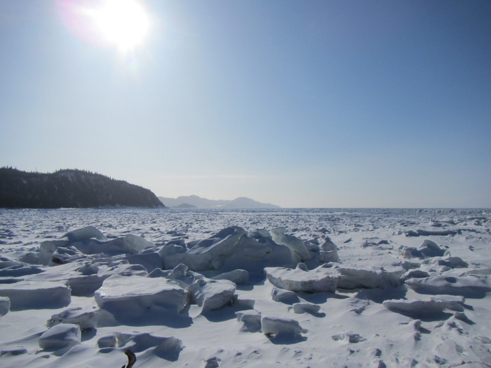 Photo: Facebook Parc national du Bic